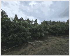  2025Ÿ��8559 ���� �������� ��ȣ�� 50       ����,â�����