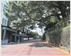  2025Ÿ��8659 ���� �������� ���͵� 544-2 �� ���Ϸ��� ���� ȣ�� 2�� 210ȣ �ܵ�(ȣ��)���