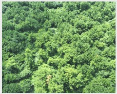  2025Ÿ��8675 ���� ���ֽ� ��õ�� ���̸� 111      ����(��1)���