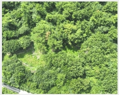  2025Ÿ��8675 ���� ���ֽ� ��õ�� ���̸� 111      ����(��1)���