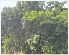  2025Ÿ��8675 ���� ���ֽ� ��õ�� ���̸� 111      ����(��1)���