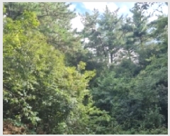  2025Ÿ��8675 ���� ���ֽ� ��õ�� ���̸� 111      ����(��1)���