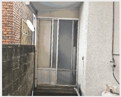  2025Ÿ��8713  ���ð��