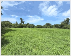  2025Ÿ��8749 ���� ���ֽ� �Ѱ�� �ݵ 111      ����(��1)���