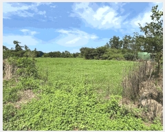  2025Ÿ��8749 ���� ���ֽ� �Ѱ�� �ݵ 111      ����(��1)���