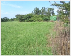  2025Ÿ��8749 ���� ���ֽ� �Ѱ�� �ݵ 111      ����(��1)���