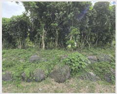  2025Ÿ��8866 ���� �������� ������ ���︮ ��13-16      ����(�Ӿ�)���