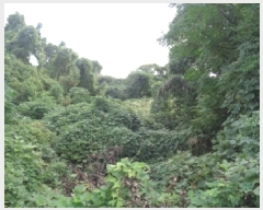  2025Ÿ��8866 ���� �������� ������ ���︮ ��13-16      ����(�Ӿ�)���