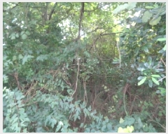  2025Ÿ��8866 ���� �������� ������ ���︮ ��13-16      ����(�Ӿ�)���