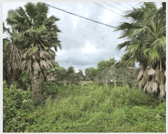  2025Ÿ��8875 ���� �������� ������ ������ 774-9      ����(��1)���