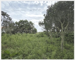  2025Ÿ��8875 ���� �������� ������ ������ 774-9      ����(��1)���