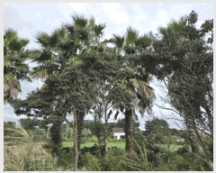  2025Ÿ��8875 ���� �������� ������ ������ 774-9      ����(��1)���