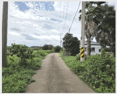  2025Ÿ��8875 ���� �������� ������ ������ 774-9      ����(��1)���