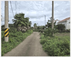  2025Ÿ��8875 ���� �������� ������ ������ 774-9      ����(��1)���