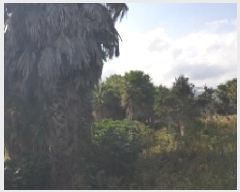  2025Ÿ��8875 ���� �������� ������ ������ 774-9      ����(��1)���