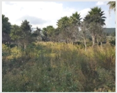  2025Ÿ��8875 ���� �������� ������ ������ 774-9      ����(��1)���