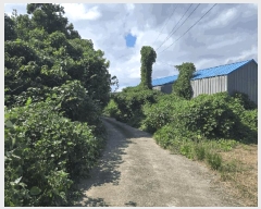  2025Ÿ��8894 ���� �������� ǥ���� ǥ���� 2278      ����(��1)���