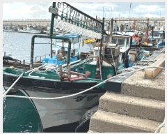  2025Ÿ��8948  ���ڰ��