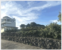  2025Ÿ��8993 ���� �������� ������ �Ǳ͸� 1662      ����(�Ӿ�)���