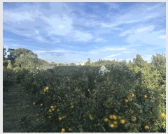  2025Ÿ��8993 ���� �������� ������ �Ǳ͸� 1662      ����(�Ӿ�)���