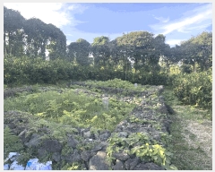  2025Ÿ��8993 ���� �������� ������ �Ǳ͸� 1662      ����(�Ӿ�)���