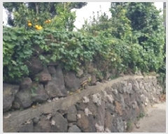  2025Ÿ��8993 ���� �������� ������ �Ǳ͸� 1662      ����(�Ӿ�)���