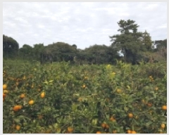  2025Ÿ��8993 ���� �������� ������ �Ǳ͸� 1662      ����(�Ӿ�)���