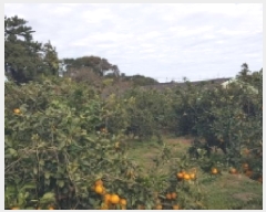  2025Ÿ��8993 ���� �������� ������ �Ǳ͸� 1662      ����(�Ӿ�)���