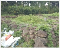  2025Ÿ��8993 ���� �������� ������ �Ǳ͸� 1662      ����(�Ӿ�)���