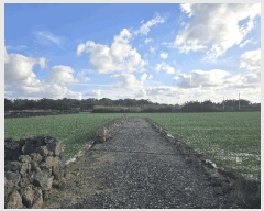  2025Ÿ��9112 ���� �������� ������ ������ 101      ����(��1)���