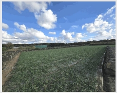  2025Ÿ��9112 ���� �������� ������ ������ 101      ����(��1)���