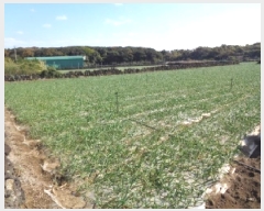  2025Ÿ��9112 ���� �������� ������ ������ 101      ����(��1)���