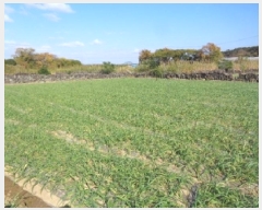  2025Ÿ��9112 ���� �������� ������ ������ 101      ����(��1)���