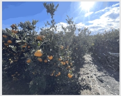  2025Ÿ��9128 ���� �������� ��ȿ�� 1166       ����(������)���