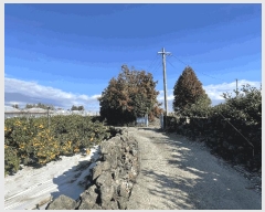  2025Ÿ��9128 ���� �������� ��ȿ�� 1166       ����(������)���