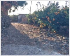  2025Ÿ��9128 ���� �������� ��ȿ�� 1166       ����(������)���