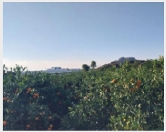  2025Ÿ��9128 ���� �������� ��ȿ�� 1166       ����(������)���