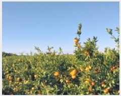  2025Ÿ��9128 ���� �������� ��ȿ�� 1166       ����(������)���