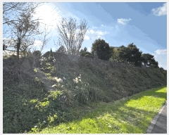  2025Ÿ��9155 ���� ���ֽ� ȸõ�� 1791-1       ����(�Ӿ�)���