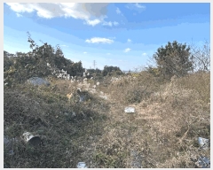  2025Ÿ��9155 ���� ���ֽ� ȸõ�� 1791-1       ����(�Ӿ�)���