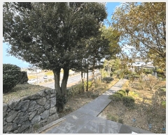  2025Ÿ��9155 ���� ���ֽ� ȸõ�� 1791-1       ����(�Ӿ�)���