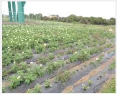  2025Ÿ��183 ���� �������� �ȴ��� ȭ���� 1676      ����(��1)���