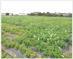  2025Ÿ��183 ���� �������� �ȴ��� ȭ���� 1676      ����(��1)���