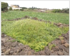  2025Ÿ��183 ���� �������� �ȴ��� ȭ���� 1676      ����(��1)���