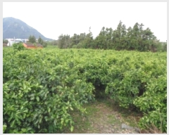  2025Ÿ��183 ���� �������� �ȴ��� ȭ���� 1676      ����(��1)���