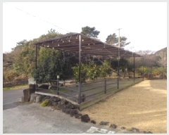  2025Ÿ��299 ���� �������� �ȴ��� ���긮 49-1      �ܵ�����,�����ð��