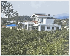  2025Ÿ565    긮 1087      ()