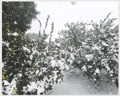  2025Ÿ565    긮 1087      ()