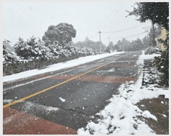  2025Ÿ565    긮 1087      ()