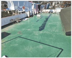  2025Ÿ565    긮 1087      ()